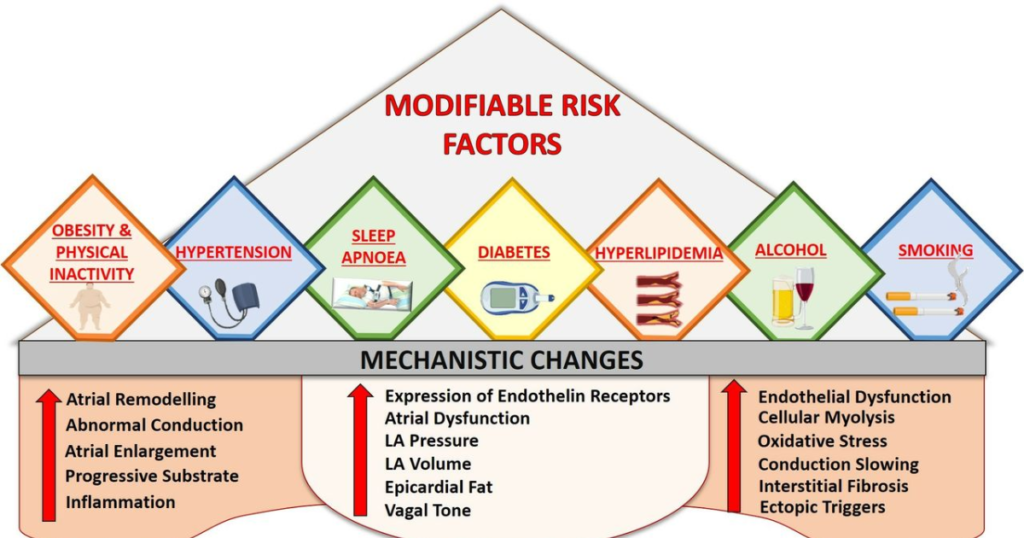 Risk Factors of Arrhythmia